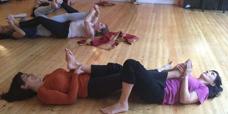 El Cuerpo Orgánico en las 7 próximas clases de Movimiento