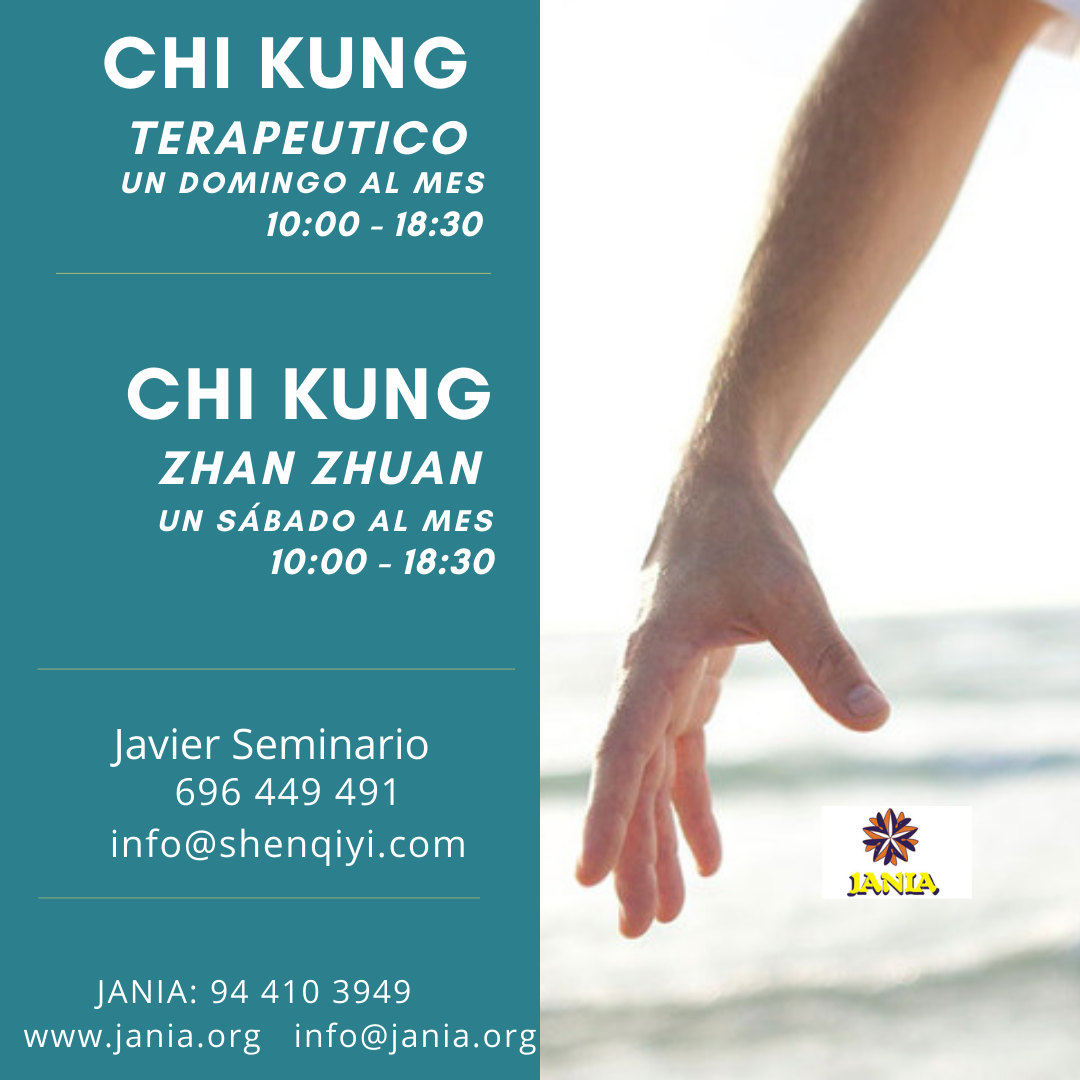 Chi Kung Terapeutico Y Chi Kung Zhan Zhuang Curso 21 Jania Sistema De Centros De Energiajania Sistema De Centros De Energia