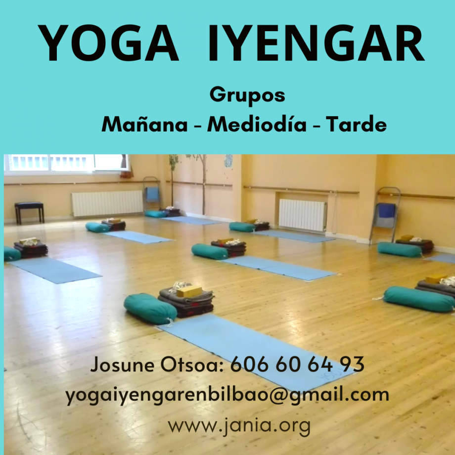 Yoga Iyengar