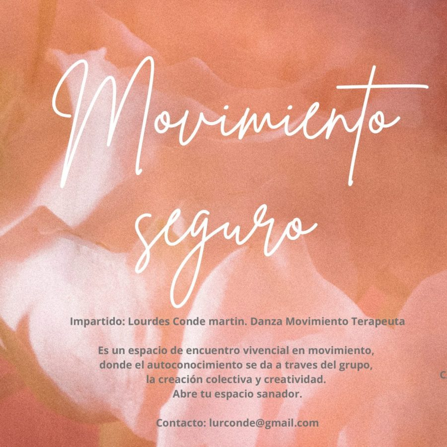 Danza Movimiento Terapia